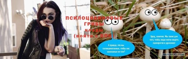 прущий лед Алзамай