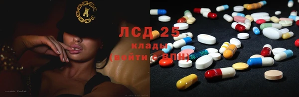 шишки Арсеньев