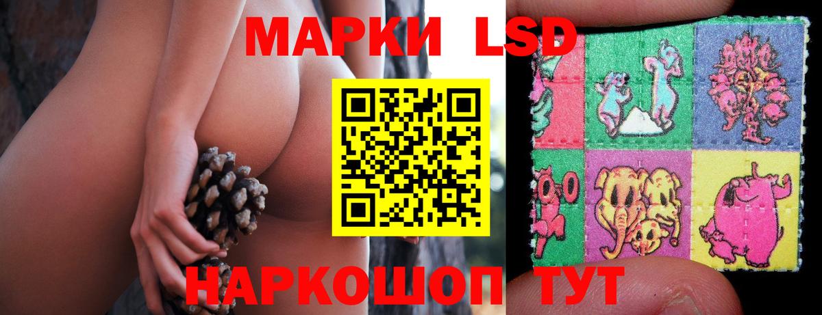Лсд 25 экстази ecstasy  LSD-25 экстази кислота  Лсд 25 экстази  Вход с VPN  Новороссийск 