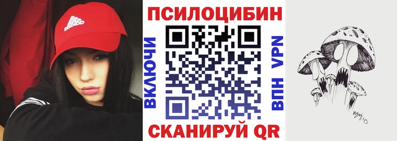 hydra как войти  Новороссийск  Галлюциногенные грибы GOLDEN TEACHER 