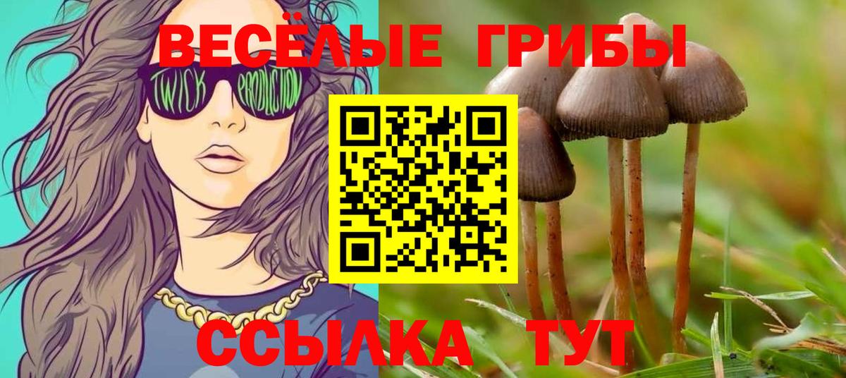 Новороссийск  Псилоцибиновые грибы Psilocybine cubensis  Вход с VPN 