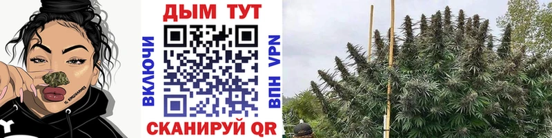 Шишки марихуана гибрид  OMG маркетплейс  Новороссийск 