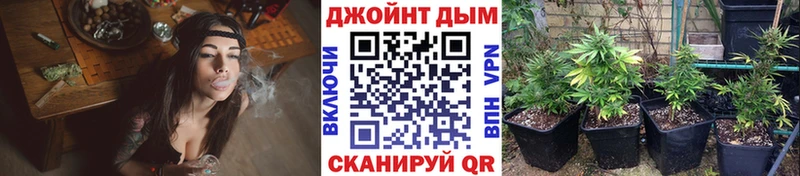 Канабис OG Kush Новороссийск